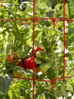 Tomato Cages, Set Of 4 -Outdoor Garden Care 34182 592