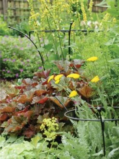 Essex Plant Supports -Outdoor Garden Care 37423 280 tif