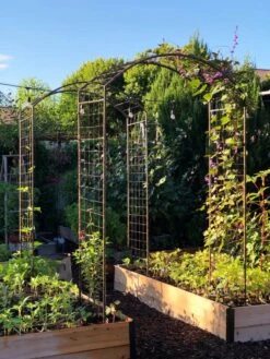 Outdoor Garden Care -Outdoor Garden Care 38690 02IN tif