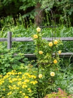 Jardin Round Obelisk, 7' 7 Jardin Round Obelisk, 7' -Outdoor Garden Care 39 530 1668 tif