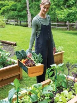 Garden Hods 9 Garden Hods -Outdoor Garden Care 39 761 0146 tif