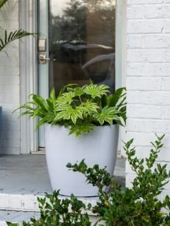 Viva Round Self-Watering Rolling Planter, 20" Diameter, Set Of 2 15 Viva Round Self-Watering Rolling Planter, 20" Diameter, Set Of 2 -Outdoor Garden Care 3 4 crop 8612933 0025 tif