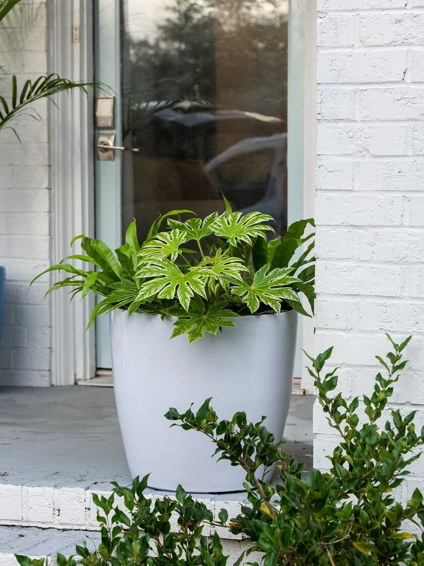 Viva Round Self-Watering Rolling Planter, 20" Diameter, Set Of 2 4 Viva Round Self-Watering Rolling Planter, 20" Diameter, Set Of 2 - Image 4