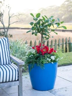 Viva Round Self-Watering Rolling Planter, 20" Diameter, Set Of 2 16 Viva Round Self-Watering Rolling Planter, 20" Diameter, Set Of 2 -Outdoor Garden Care 3 4 crop 8612933 5312 tif