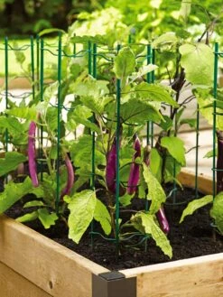 Pepper And Eggplant Stakes, Set Of 3 5 Pepper And Eggplant Stakes, Set Of 3 -Outdoor Garden Care 40308 2116 tif