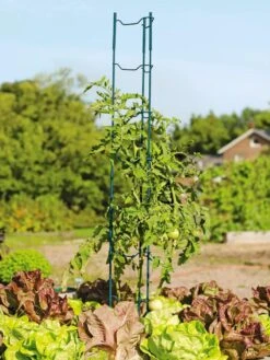 Stacking Tomato Ladders, Set Of 6 -Outdoor Garden Care 40309 100 tif