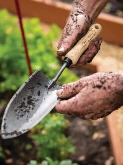 Gardener's Lifetime Trowel 11 Gardener's Lifetime Trowel -Outdoor Garden Care 8586972 3242 tif