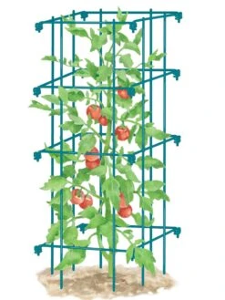 Tomato Cage, Single 6 Tomato Cage, Single -Outdoor Garden Care 8587039 TomatoCage BLUE tif