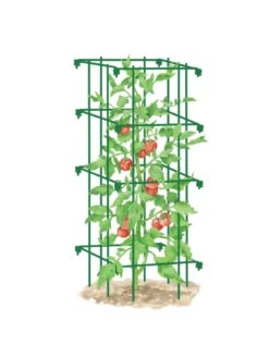 Tomato Cage, Single 7 Tomato Cage, Single -Outdoor Garden Care 8587039 TomatoCage GRN tif