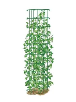 Bean Tower -Outdoor Garden Care 8587060 0008 GRN tif