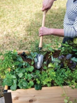 Gardener's Lifetime Raised Bed Trowel 5 Gardener's Lifetime Raised Bed Trowel -Outdoor Garden Care 8588014 4084 tif