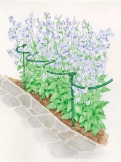 Tidy Path Supports -Outdoor Garden Care 8588403 003 1