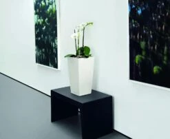 Lechuza® Cubico Color Tall Self-Watering Planters -Outdoor Garden Care 8589485 03V tif