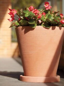 Universal Round Planter Saucers -Outdoor Garden Care 8589526 001V tif