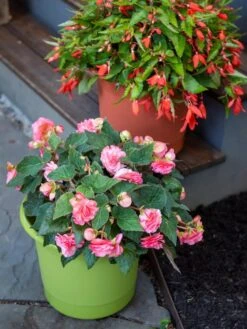 Eezy Gro Self-Watering Planters -Outdoor Garden Care 8596427 0034 tif