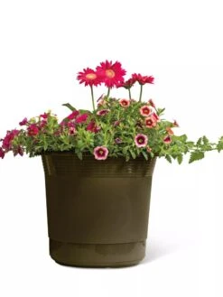 Eezy Gro Self-Watering Planters -Outdoor Garden Care 8596427 108 tif