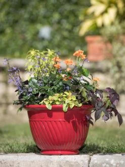 Mazzano Self-Watering Planters 11 Mazzano Self-Watering Planters -Outdoor Garden Care 8596564 4883 tif