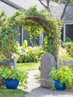 Outdoor Garden Care -Outdoor Garden Care 8596570 10231 tif