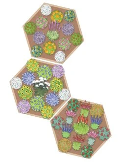 Pollinator Garden Bed -Outdoor Garden Care 8597000 Hummingbird Plan tif