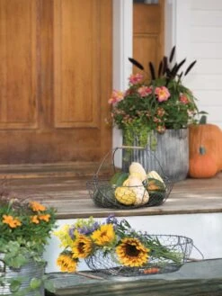 Galvanized Rim Planters -Outdoor Garden Care 8597379 1625 tif