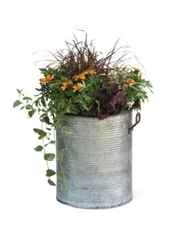 Galvanized Rim Planters -Outdoor Garden Care 8597443 1704 tif
