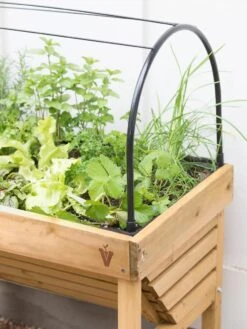 VegTrug® Mini Wallhugger Planter With Cover 8 VegTrug® Mini Wallhugger Planter With Cover -Outdoor Garden Care 8598339 4004 tif