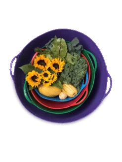 Colorful Tubtrug, 3-1/2 Gallon -Outdoor Garden Care 8599088 20GalTubTrug gif 1