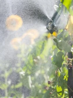 Landscape 4-Way Cooling Mist Kit, 50' 10 Landscape 4-Way Cooling Mist Kit, 50' -Outdoor Garden Care 8600154 0695 tif