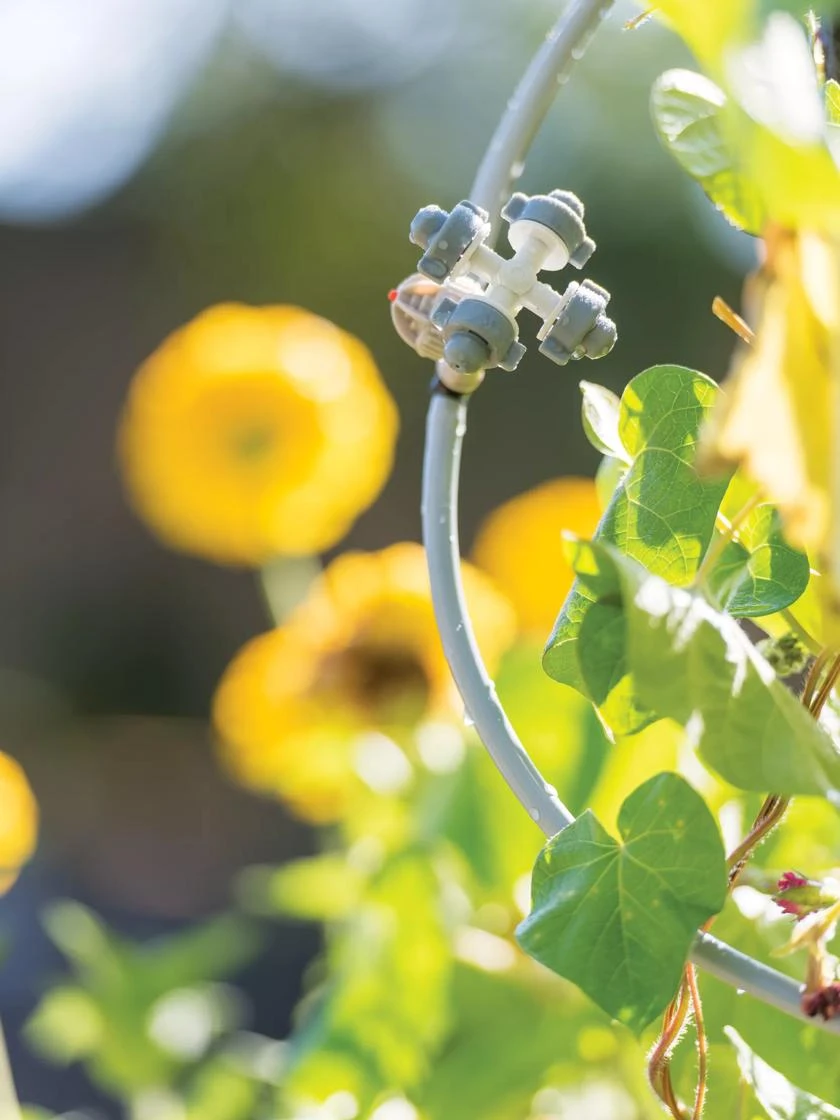 Landscape 4-Way Cooling Mist Kit, 50' 1 Landscape 4-Way Cooling Mist Kit, 50'