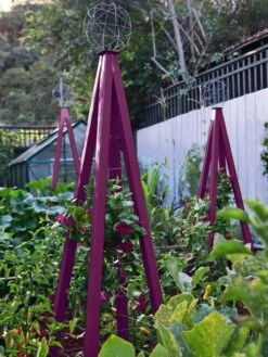 Akoris Garden Tuteur Jr. 13 Akoris Garden Tuteur Jr. -Outdoor Garden Care 8600517 01V akoris garden tuteur tif 1