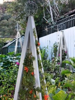 Akoris Garden Tuteur Jr. 12 Akoris Garden Tuteur Jr. -Outdoor Garden Care 8600517 07V tif