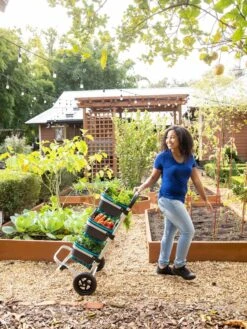 Mod Hod Trolley With Teal Mod Hods -Outdoor Garden Care 8610240 0070 tif