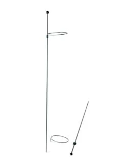 Peacock Mini Plant Support Rings 4", Set Of 2 -Outdoor Garden Care 8610386 9566