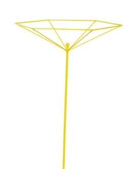 Parasol Plant Supports, Set Of 3 14 Parasol Plant Supports, Set Of 3 -Outdoor Garden Care 8611129 3844 tif