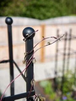 Essex Square Obelisk 10 Essex Square Obelisk -Outdoor Garden Care 8611984 278 tif