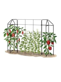 Zenith Trellis -Outdoor Garden Care 8612035 art tif