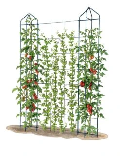 Zenith Trellis -Outdoor Garden Care 8612036 art tif