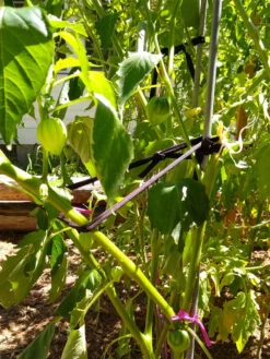 Farmyarn® Multipurpose Garden Tie, 2 Pack -Outdoor Garden Care 8612948 02v