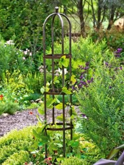 Jardin Bird Cage Support, 26" -Outdoor Garden Care GS39529 01 tif