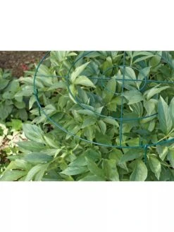 Grow Through Supports, Set Of 3 7 Grow Through Supports, Set Of 3 -Outdoor Garden Care GS40172 01 1