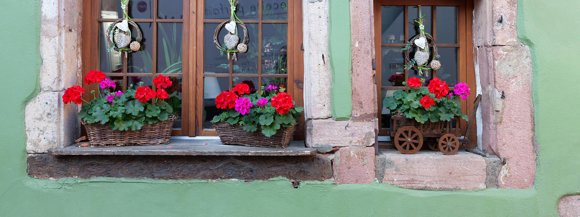 Outdoor Garden Care -Outdoor Garden Care pexels philippe serrand 337910945 18249015