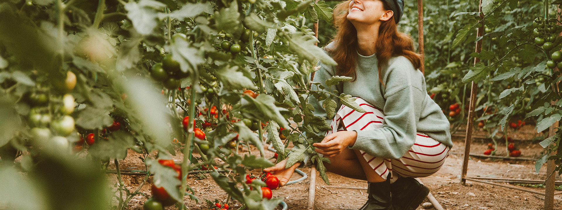 Outdoor Garden Care -Outdoor Garden Care pexels roman odintsov 6342169